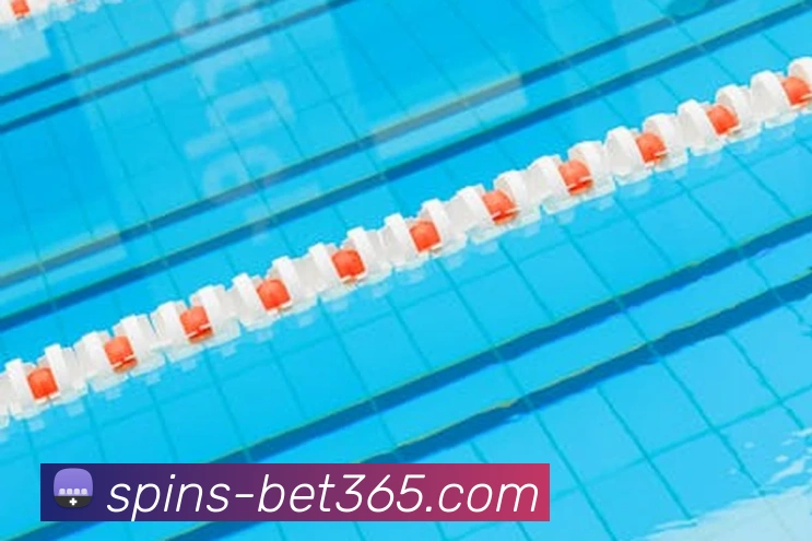 App Interface Preview